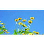 嘿嘿,这些人让大家很无语哟!