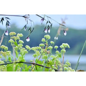 年过的开心不?看笑段就知道了