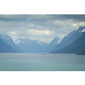 囧事笑的可欢啦！