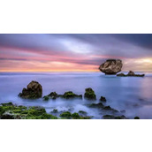 领导问我整天发呆,都想点什么?