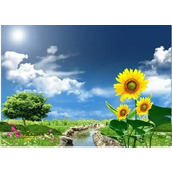 Pol.ice打死了一条疯狗