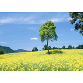 边笑边点头:有道理呀!