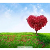 一些经典冷笑话