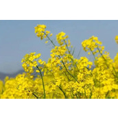 当年和异地恋的女友吵架