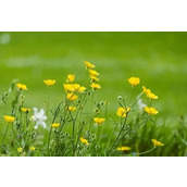 忽然听见脑袋后边有叹气声，瞬间炸毛了