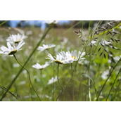 看到没，个子矮连感应器都没反应