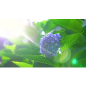 我满脸通红的说:这是首付