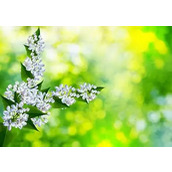 老头看到一美女大冬天还穿超短裙