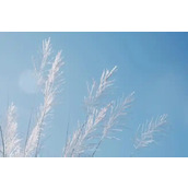 连钥匙都能忘的人也记不住太复杂的号码