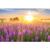 实话实话实在好笑