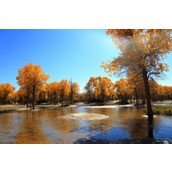 爆逗,看的清楚,还说的明白