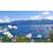 爆糗,不怕你笑话