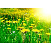 爆笑夫妻之悲催的老公