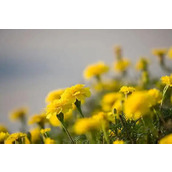 十一快乐,国庆假期乐事多!