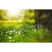 爆囧,丢人丢大发了