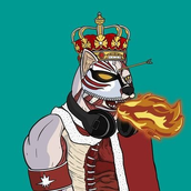 Shiba Titian(CLSL币)是那个国家的