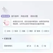 以闪亮之名设置可以更改什么攻略