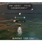 逆水寒手游金明鱼痴任务完成路线规划