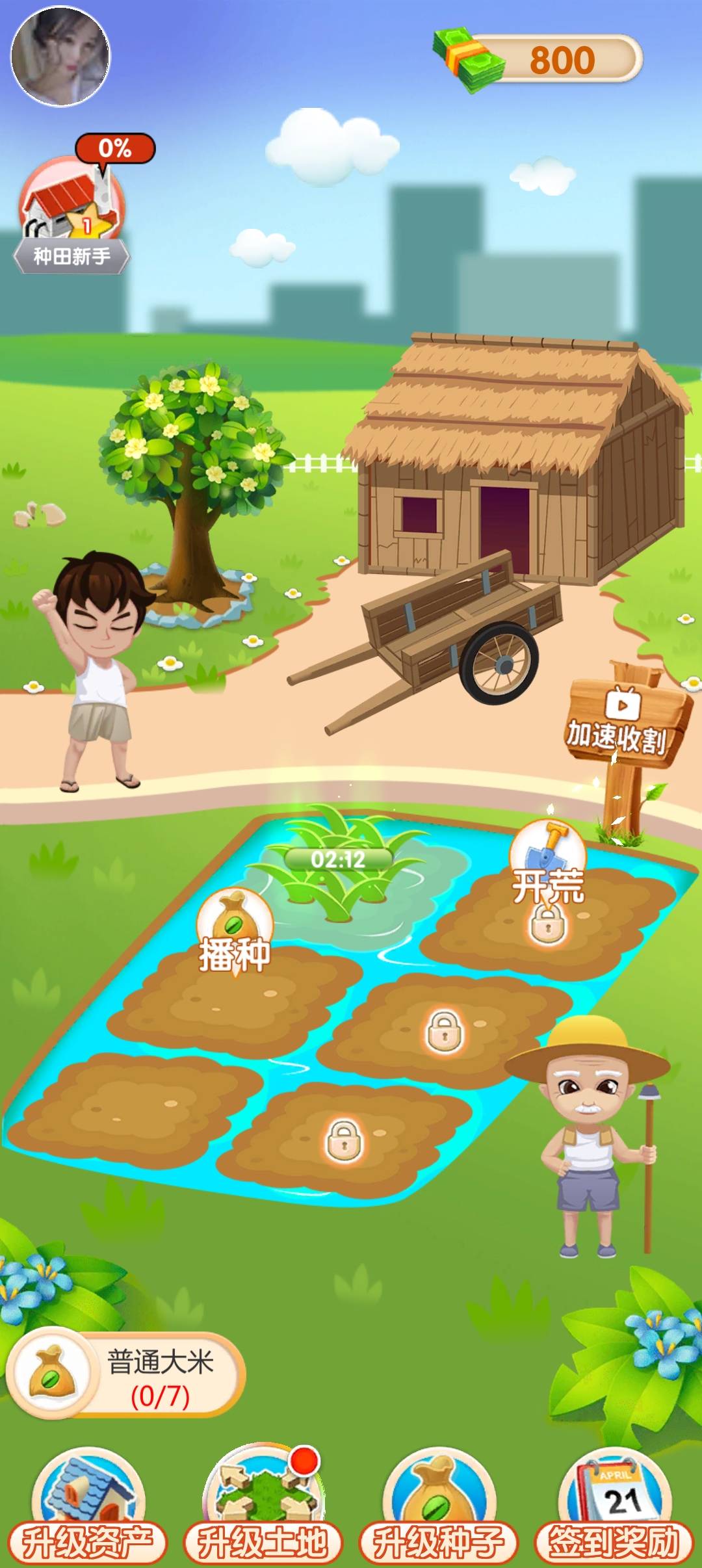 大米刷刷乐手机版