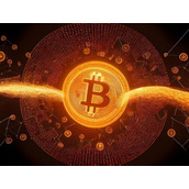 最全的数字货币交易APP 怎么开通虚拟币账号2025