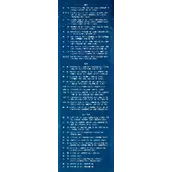 奇迹暖暖神鸟为乌怎么怎么搭配最强