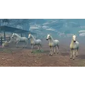 明日之后红杉茶会副本流程打法技巧有哪些