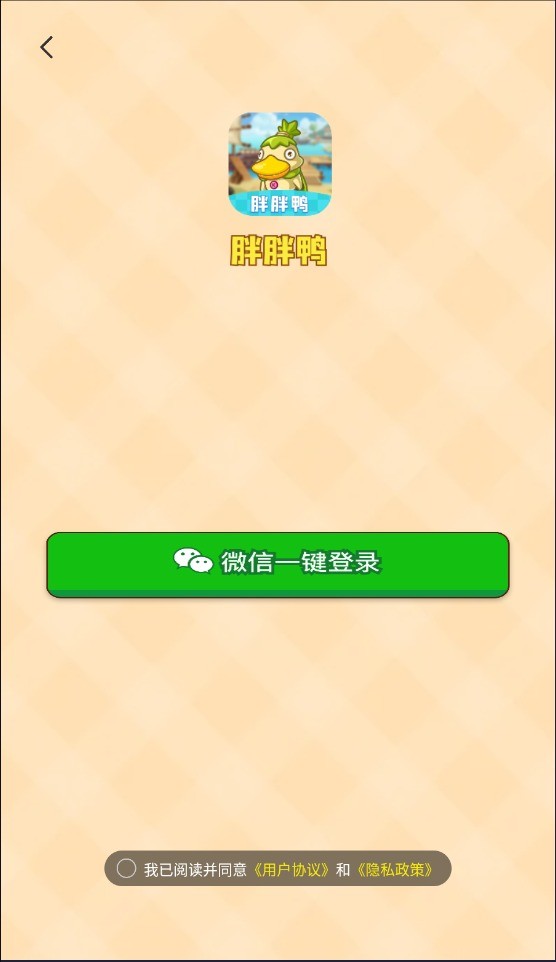胖胖鸭