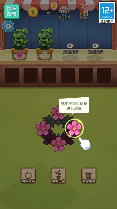 插束鲜花送给她