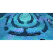 奥比岛手游微光考核如何快速通关