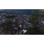 七日世界鳄鱼蛋怎么获取 七日世界鳄鱼蛋获取指南