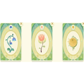 原神馥郁幻想网页活动香水配方有哪些 原神馥郁幻想网页活动香水配方组合方案汇总