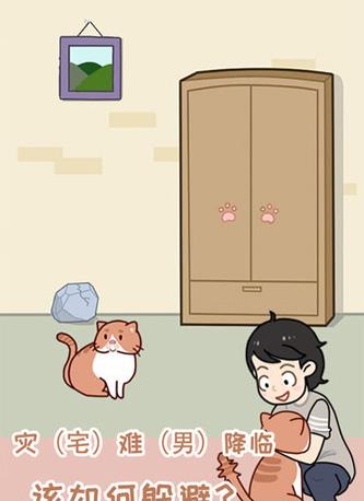 藏猫猫大作战