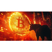 BTC站上11万美元》现货ETF五日净流入16.8亿镁 市场过热了吗？分析师 交易量是关键