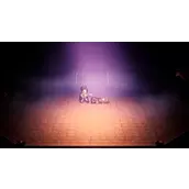 《歧路旅人：大陆的霸者》黑屏闪退问题如何解决