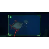 《潜水员戴夫》月鱼抓捕有哪些