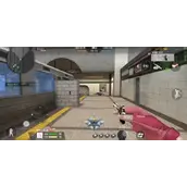 CF手游沙鹰蜂鸟尼泊尔蜂鸟有什么