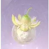 《无限暖暖》日光果怎么获取