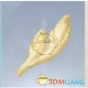 《无限暖暖》鹿冠毛团捕捉有什么