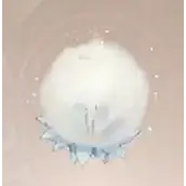 《无限暖暖》草绒球采集在哪个位置