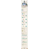 《斗罗大陆：史莱克学院》七宝琉璃塔器武魂哪几种