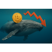 巨鲸James Wynn做多比特币「暴亏8400万美元」 拼40倍槓桿值得吗？