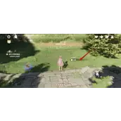 《无限暖暖》小棉菊采集怎样