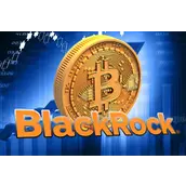 贝莱德比特币ETF以最新8.77亿美元资金流入跻身美国ETF前五强