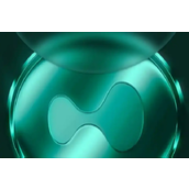 真有人3000到A8？Hyperliquid的财富效应如何参与？