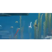 《潜水员戴夫》皇帝神仙鱼抓捕有什么