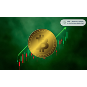 分析师预测比特币将达91万美元，称这次情况不同