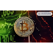 专家称比特币仍处早期阶段，坚持认为BTC储蓄或超越多数传统投资