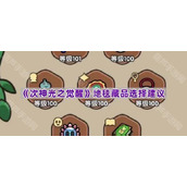 《次神光之觉醒》地毯藏品选择建议