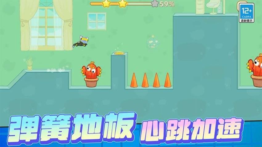 宠物救援