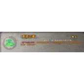 《暖雪》青龙之魂怎么样